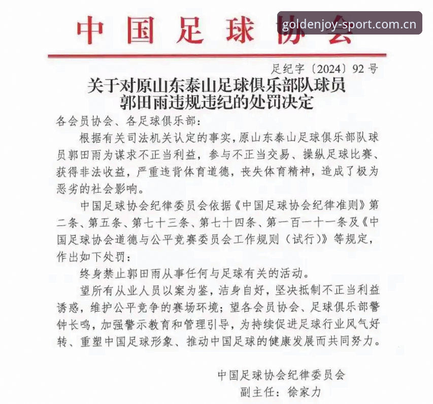 中国足协第三批禁足名单深度解析：终身禁赛与五年禁赛的处罚对比